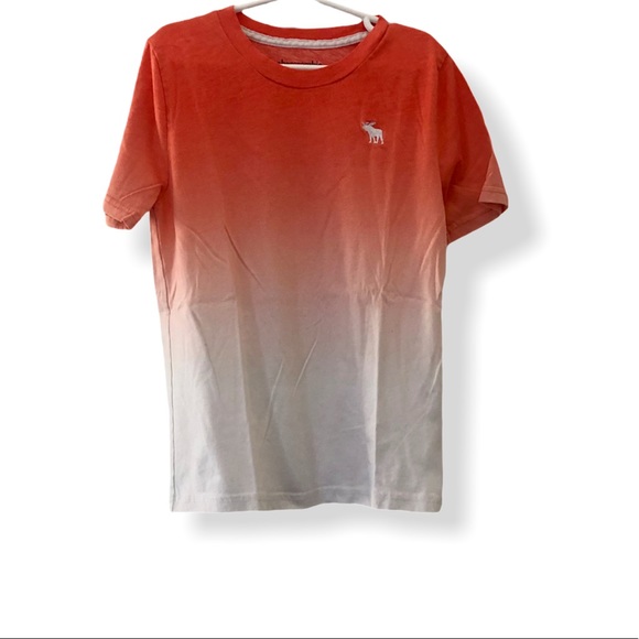 abercrombie kids Other - abercrombie kids ombré icon tee